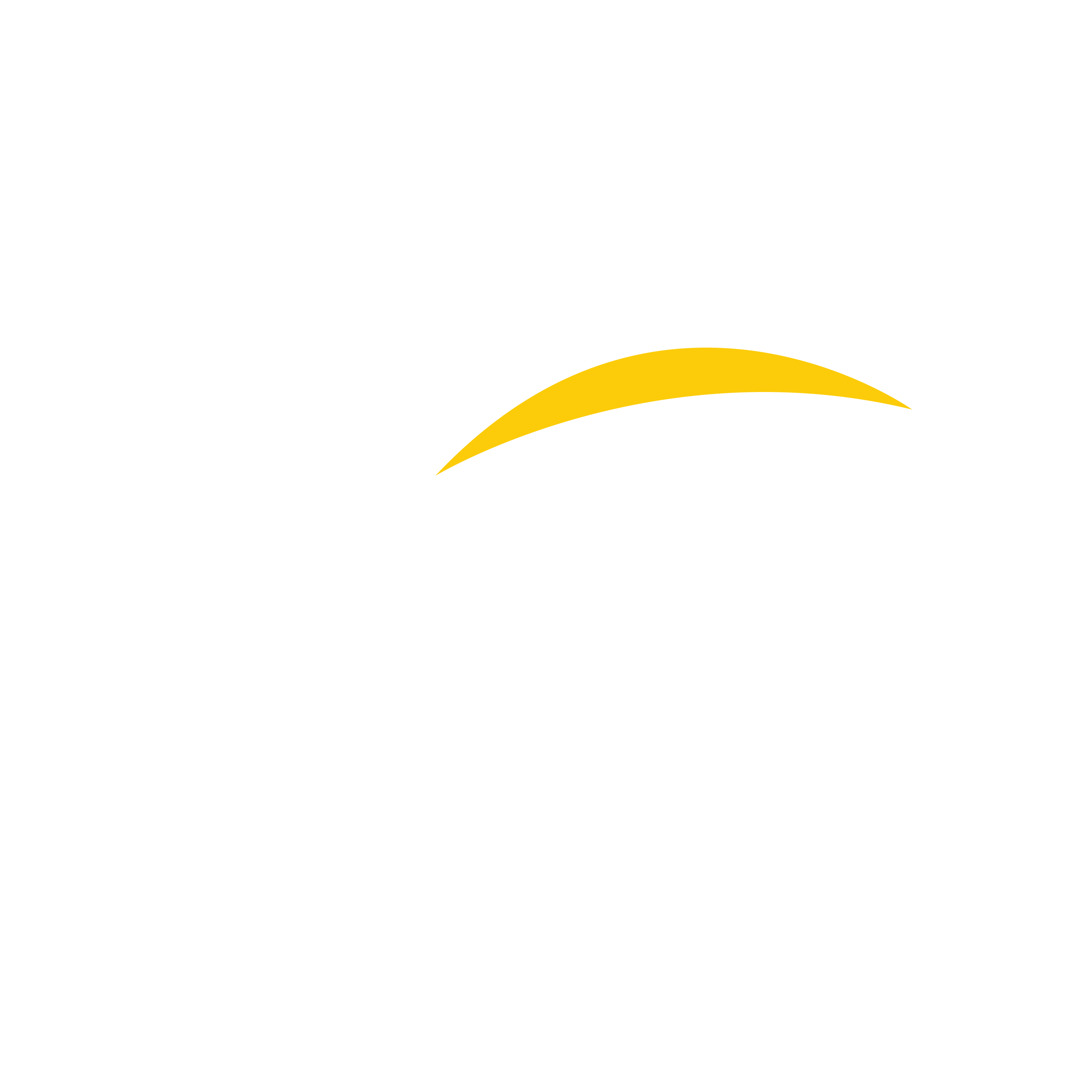 Q-Zat Logo